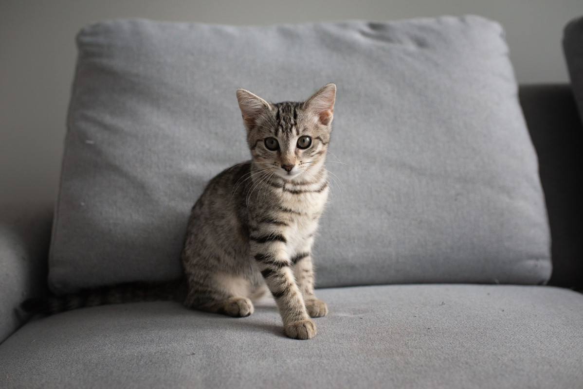 1C955859-A8EC-4D72-B1DE-97034276DD28