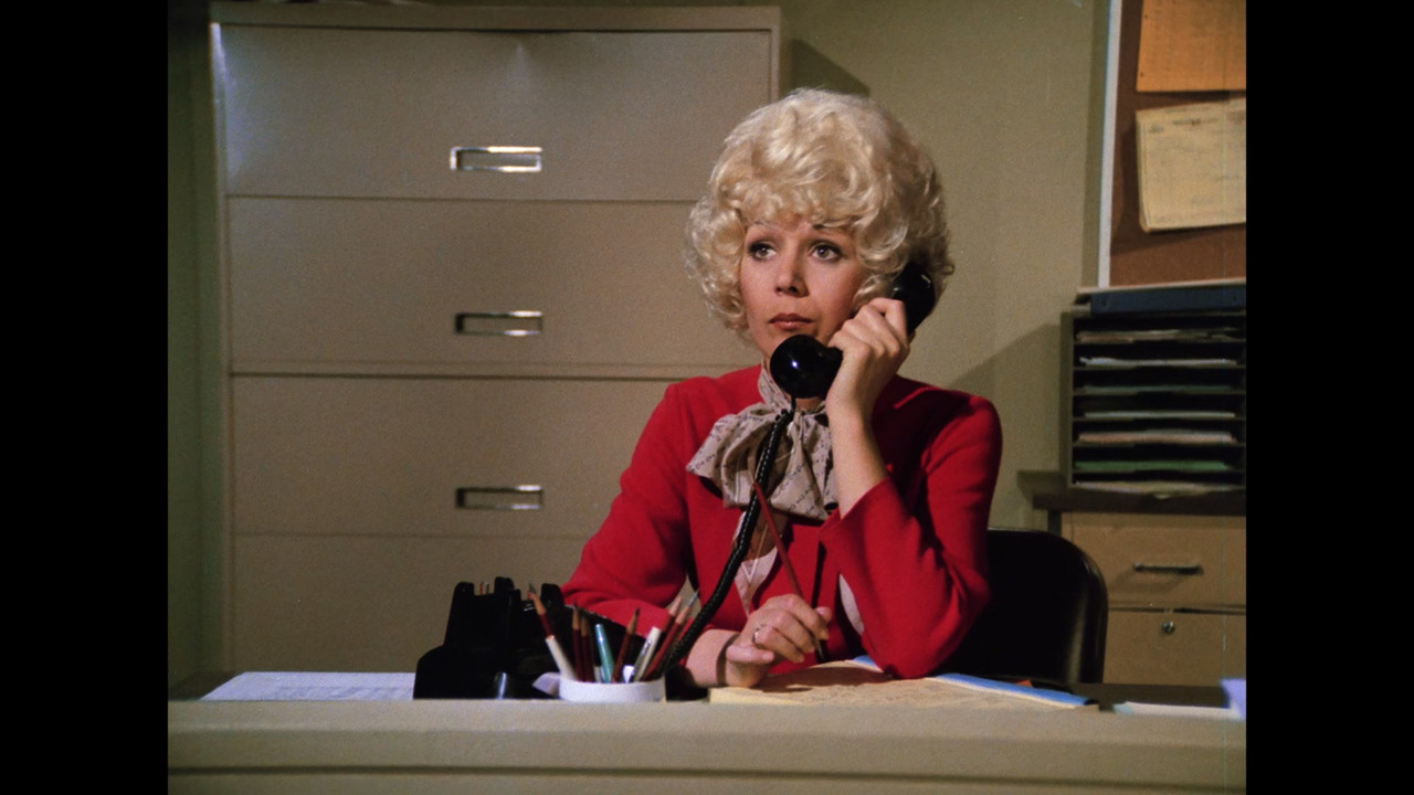 Police-Squad-1982-S01-E01-A-Substantial-Gift-The-Broken-Promise-1080p-BDRip-x265-10bit-DTS-5-1(2)