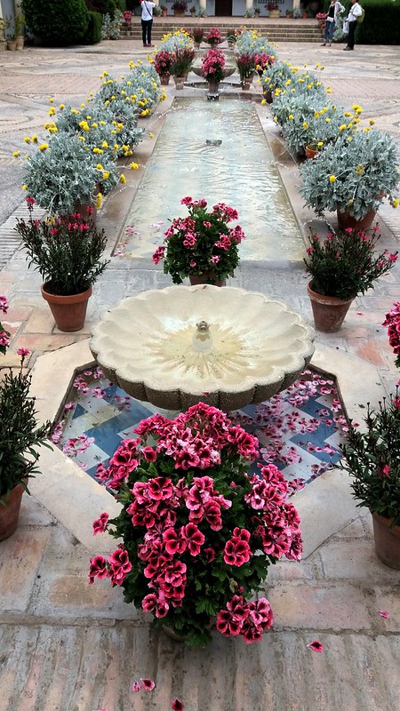 flowers-cordoba.jpg