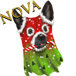 Player Avatar Player Avatar