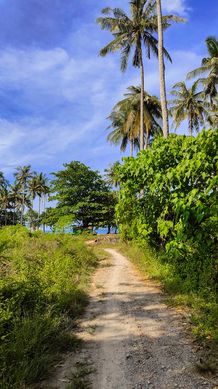 Koh Lanta: que hacer, playas, transporte - Foro Tailandia