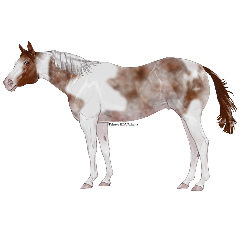 0-388663-Purdy.png