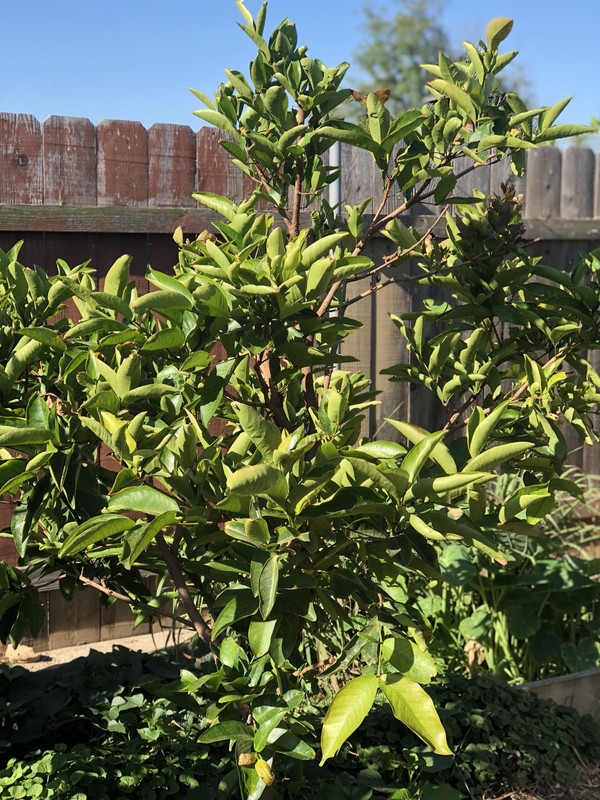 81E292B7-09CD-42E3-969F-1EC5C475BFDE