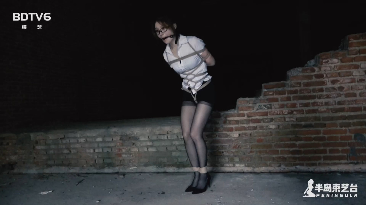 半岛束艺 古墓丽影 上 鹿野.mp4_20201110_131454.652