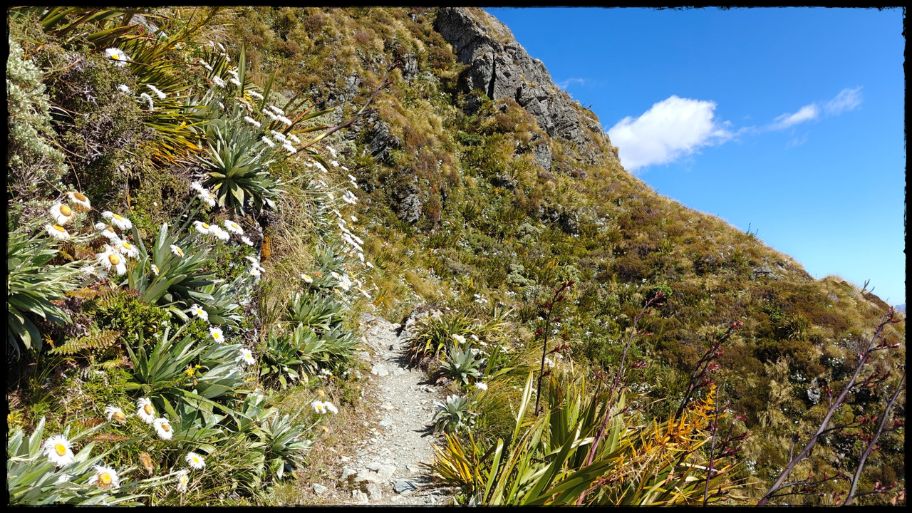 Routeburn versión extendida: Valley of the Trolls, Lake Wilson, Caples (feb. 26) - Escapadas y rutas por la Nueva Zelanda menos conocida (50)