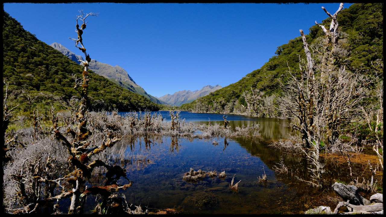 Routeburn versión extendida: Valley of the Trolls, Lake Wilson, Caples (feb. 26) - Escapadas y rutas por la Nueva Zelanda menos conocida (60)