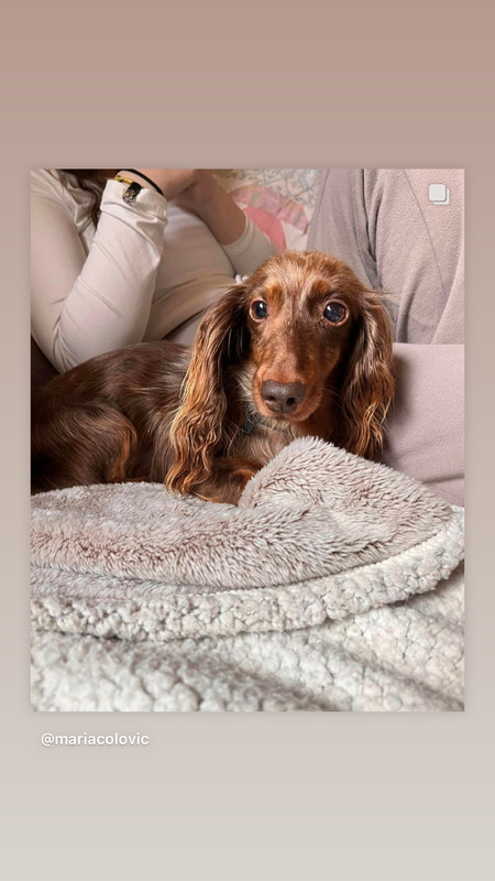 [Image: BE14-A573-8303-4997-969-C-732-AD2-A6-E9-B9.jpg]