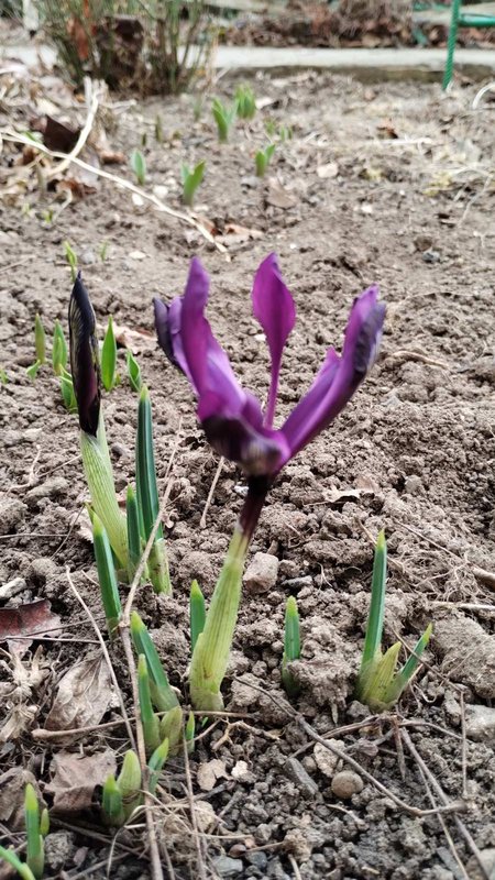 изображение_viber_2024-02-14_13-13-00-902