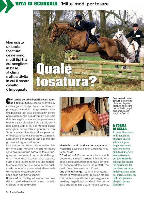 Il Mio Cav (Nov 2021) 7