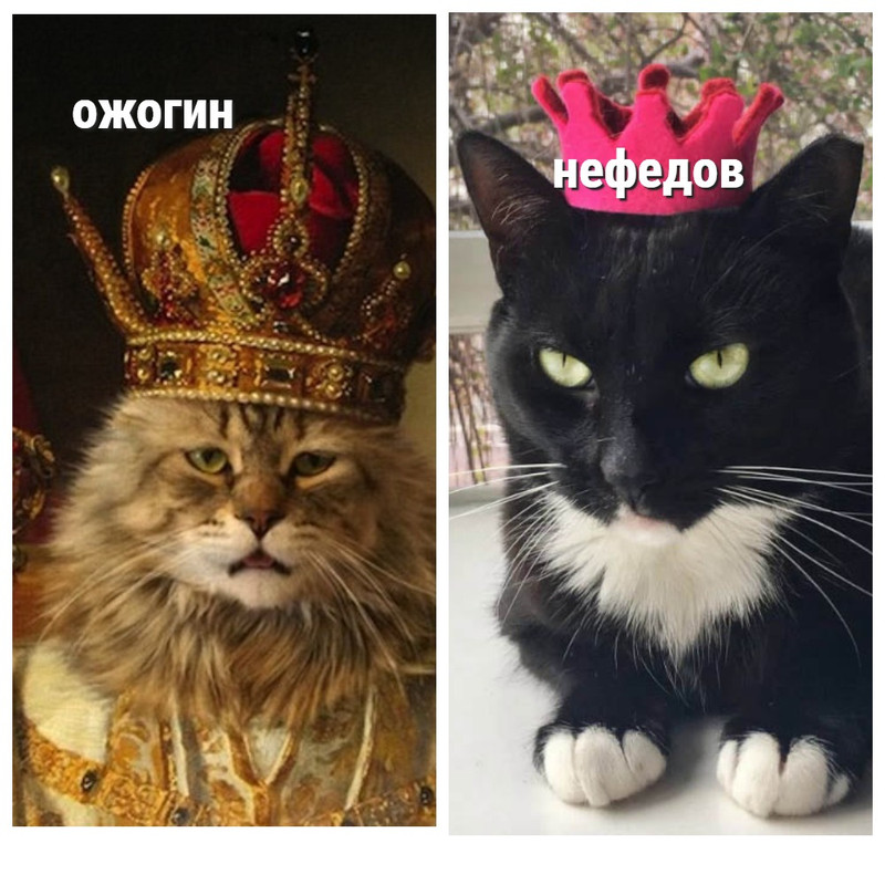 My-Collages.jpg