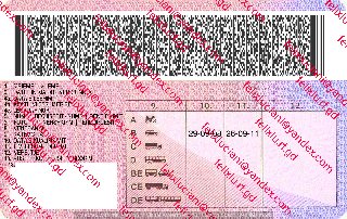Albania Driving Licence Back_cleaned