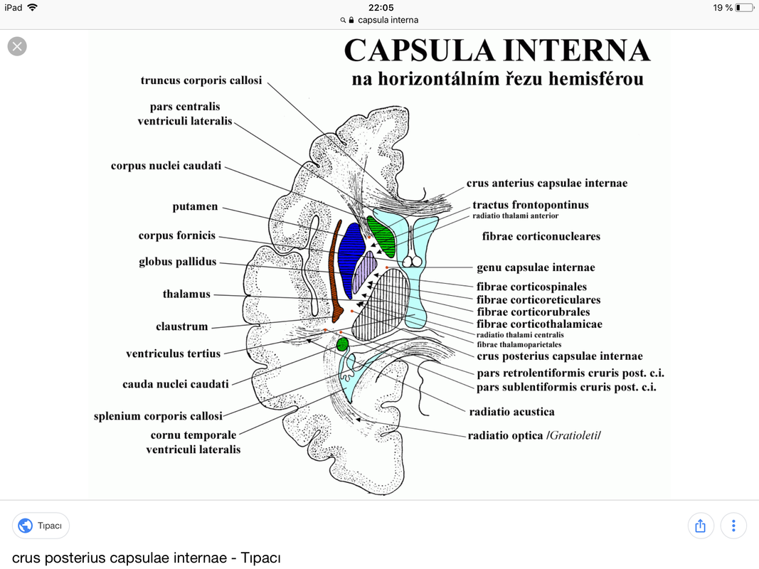 F23D90D3-5EA2-40E7-ACCB-9C930DD1DB76