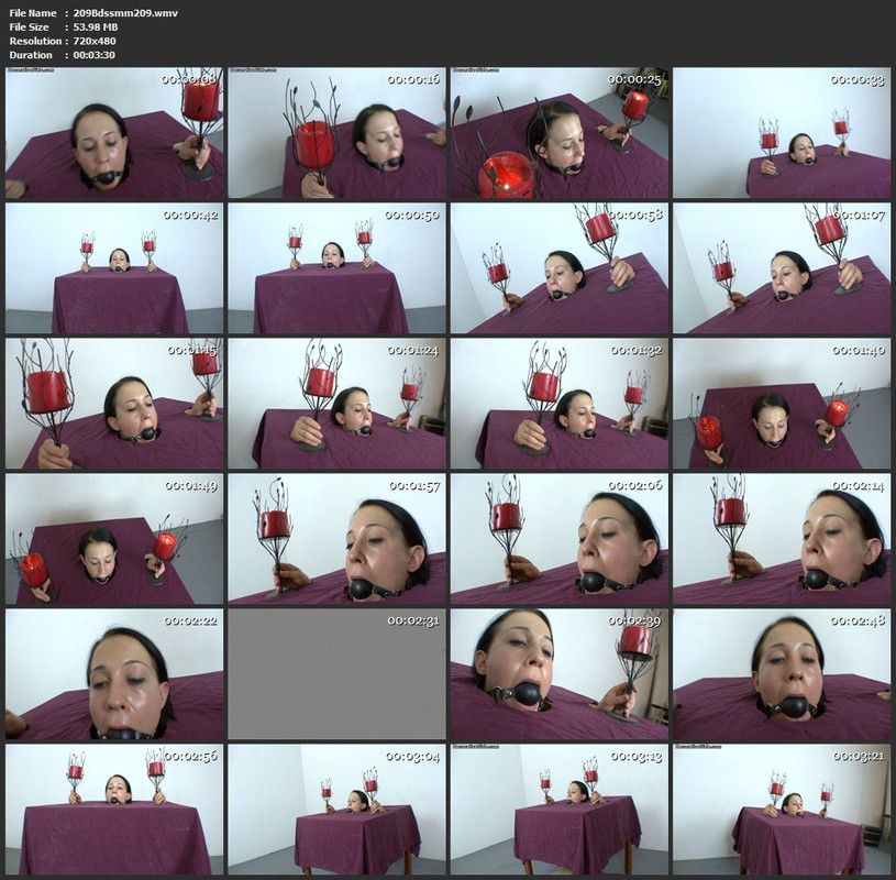 209Bdssmm209.wmv