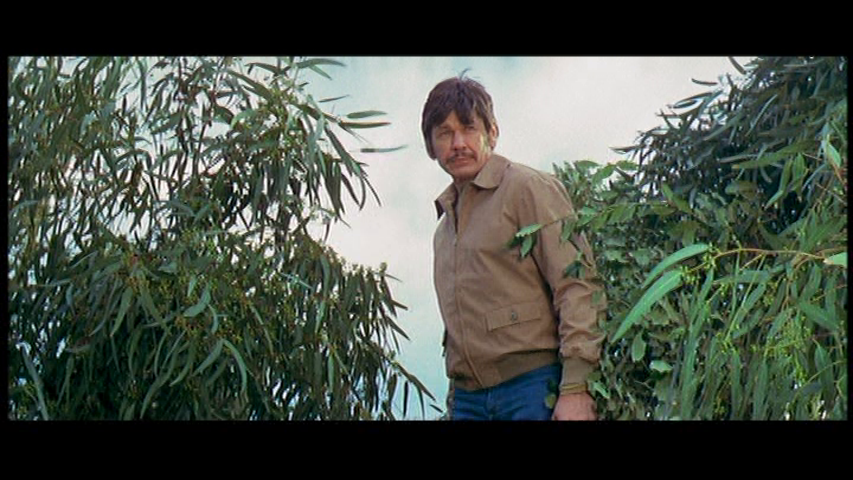 vlcsnap-2024-09-19-22h47m31s688