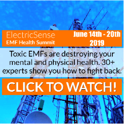 EMF Health Summit 2019