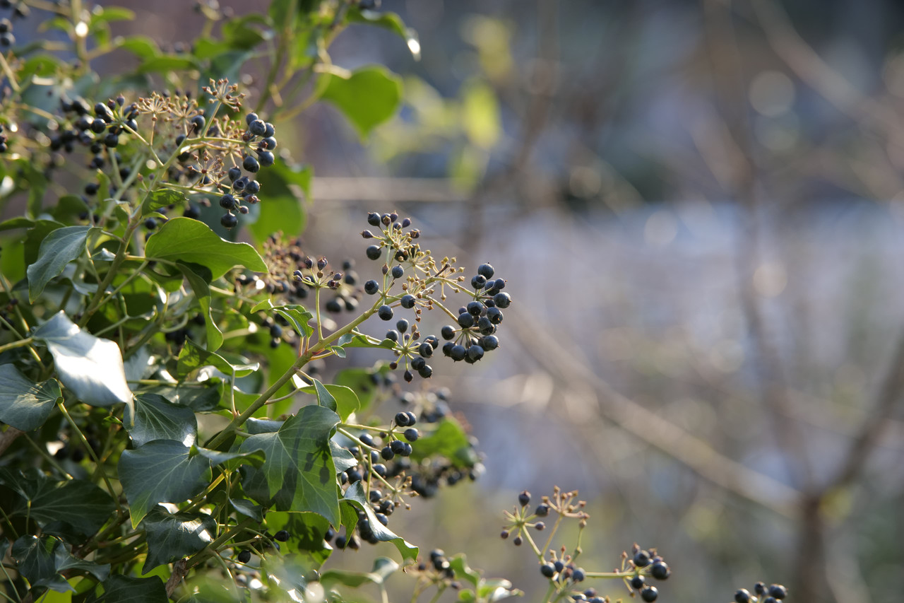 Whats App Image 2025 12 31 at 23 58 30