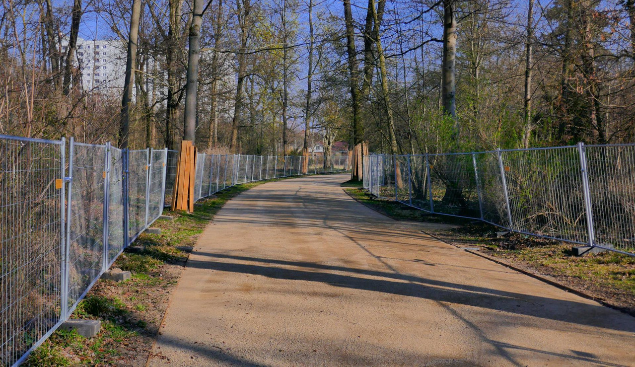 Bild: https://i.postimg.cc/GmZCRf17/P1340928.jpg