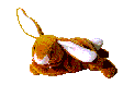 bun