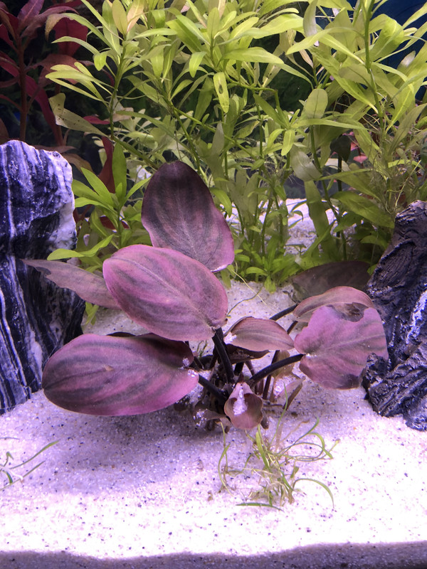 C83C2191-BA9E-44BD-969A-46702A48DE0E