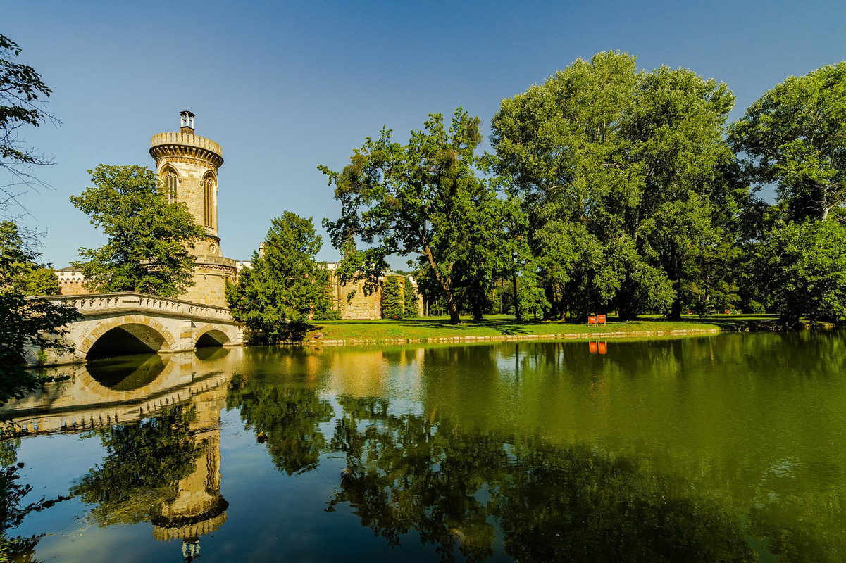 green-reflection.jpg