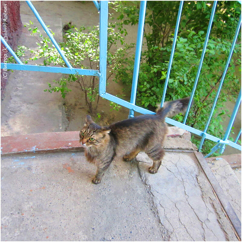 IMG-4743
