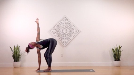 The Collective Yoga   Wrist Free Vinyasa Flow