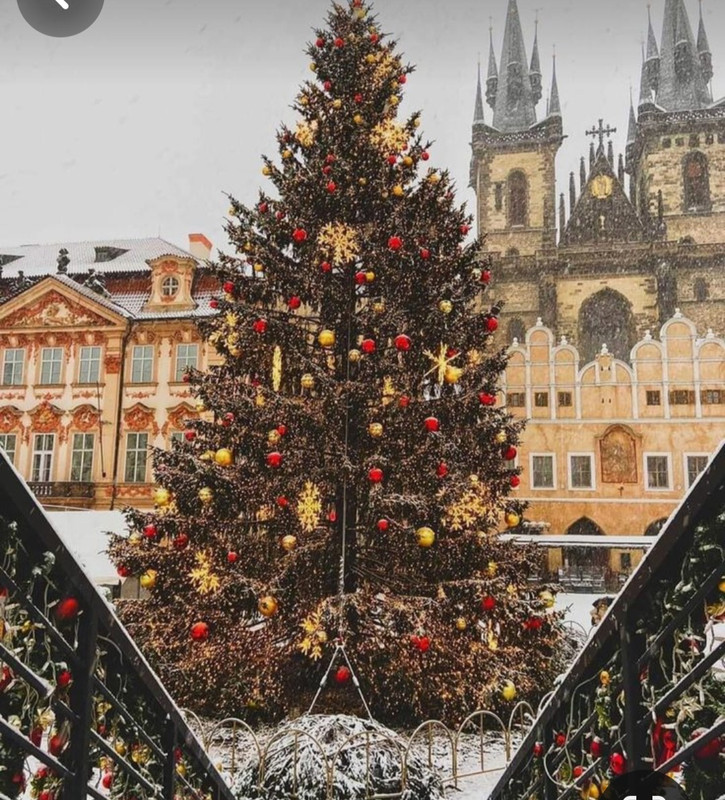 Screenshot_20231119_184510_Pinterest