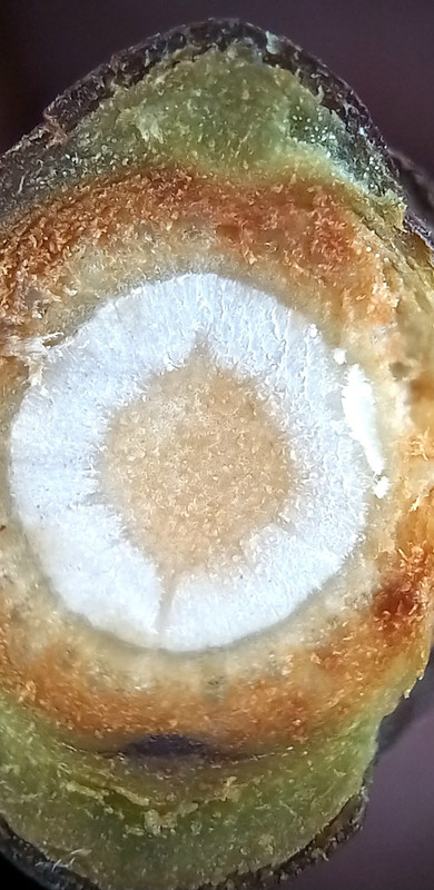 20250116-181217