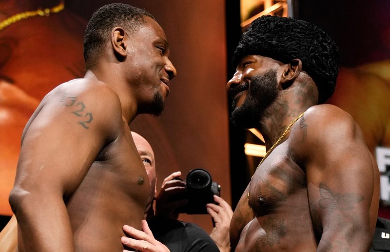 Резултати от UFC on ABC: Хил - Раунтри