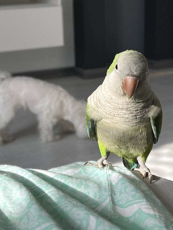 8BDD6D63-48E6-4CF9-8A6E-2CA759535A94