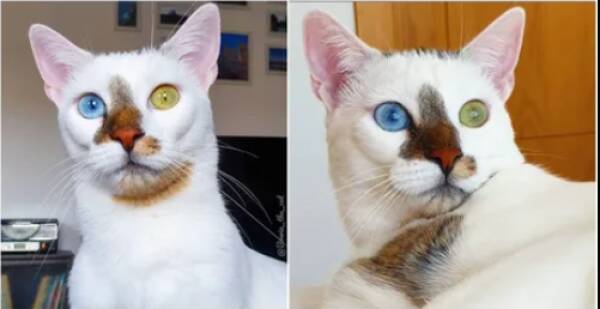 morning-picdump-3-6.jpg
