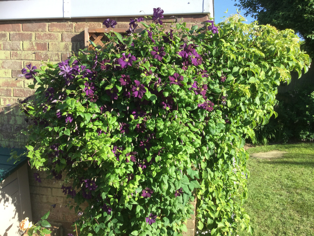 B6983A80-B648-4269-BC4D-171E08C99BBE