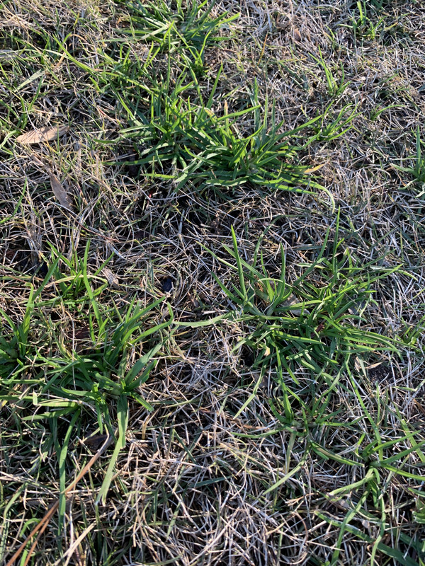 2020-12-22_15-57-02_499