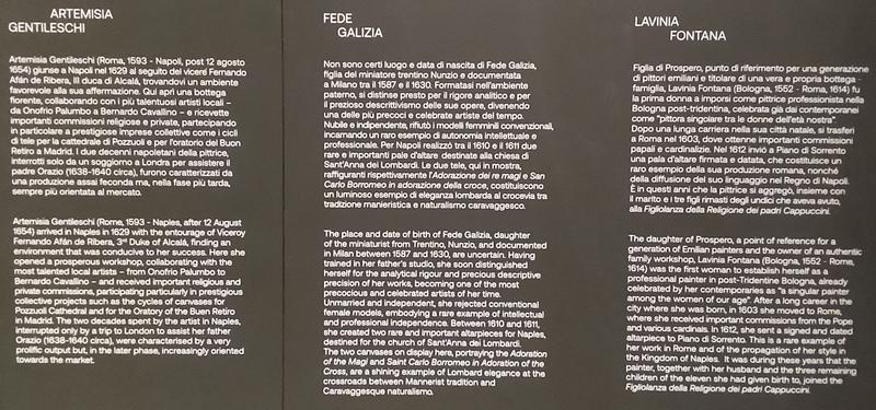 Roma y Nápoles: Bernini, Giorgione y mucho más. - Blogs de Italia - Nápoles: Museo de Capodimonte y Galerías de Italia. (306)