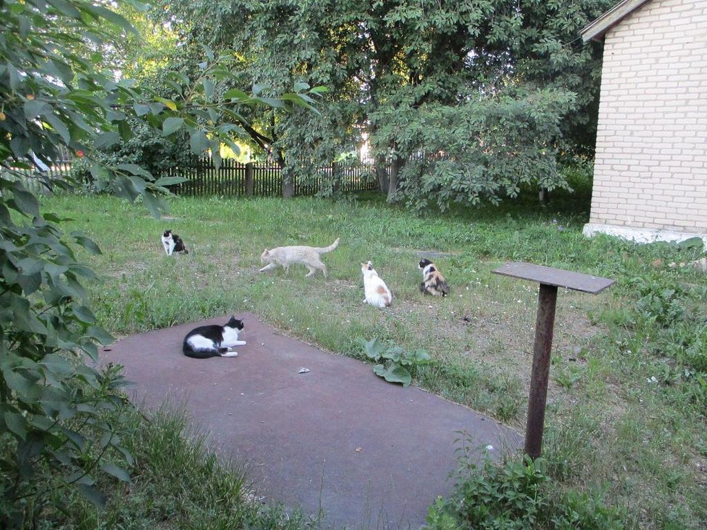 IMG-6958.jpg
