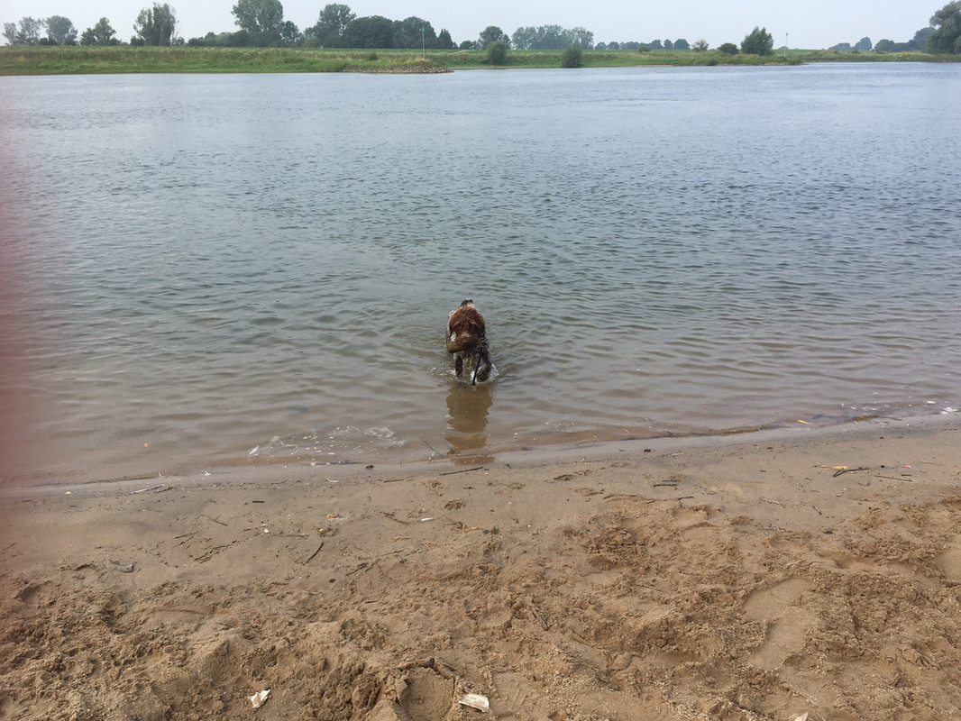 2024-03-08 Apport Rijn 3 IMG_3944 (002)