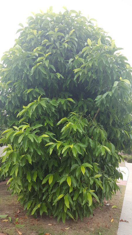 20170904_104250