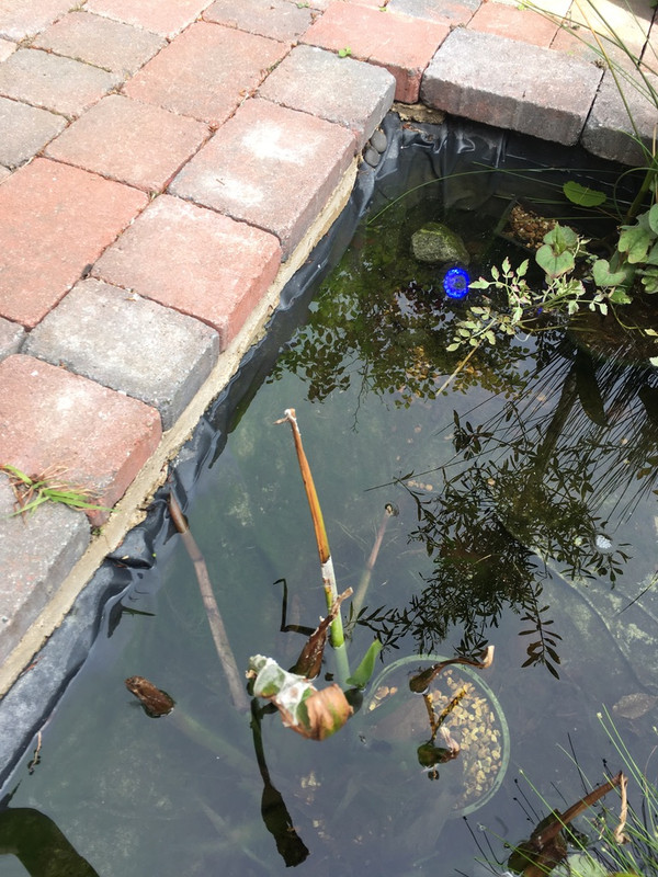 9CA529E8-72ED-4198-ABA9-27A38FBA1F70_1_105_c