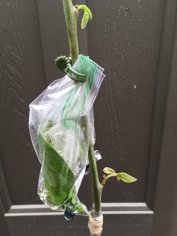 0B0746A1-409A-43AD-A971-9A2176736EF7