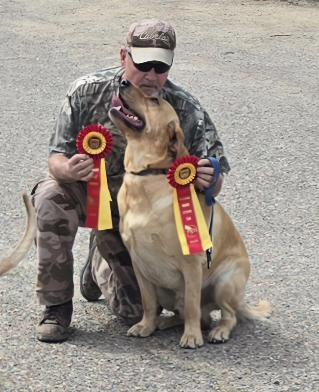 Hunt For Test My lab passed his 1st hunt tests > General Discussion > AR15.COM