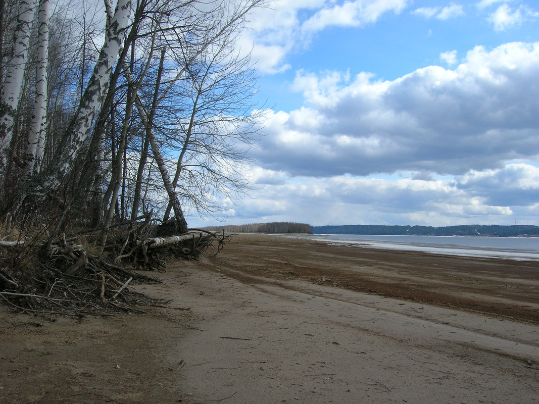 2 DSCN9644 джиг спиннинг рыбалка судак щука таймень блесна вобле