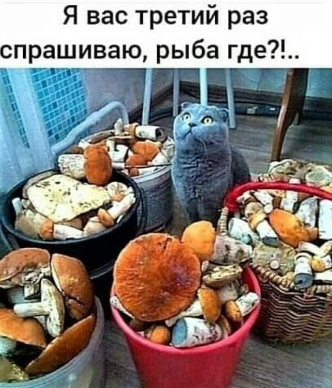 Screenshot_20230825-220247_(1)