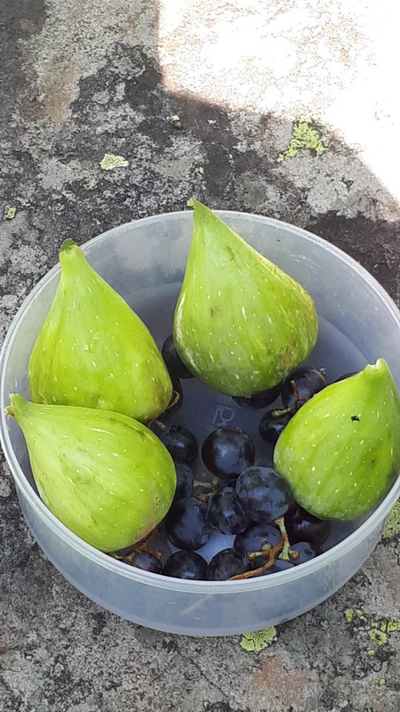 317450231_5710235542348793_1546099100737833081_n