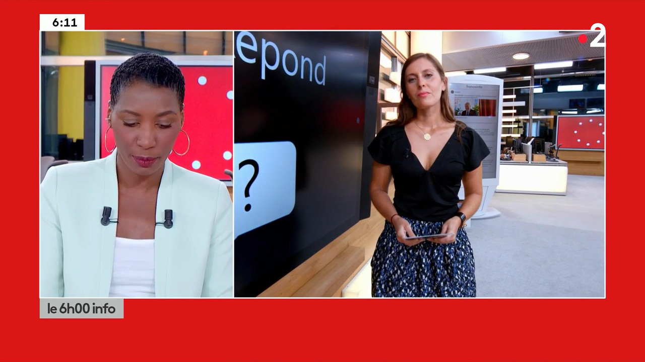 Lise Vogel 110820.mp4_snapshot_00.13_[2020.08.11_17.26.59]