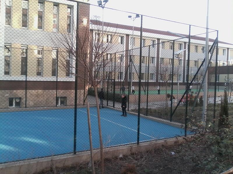 IMG-20190220-163731.jpg
