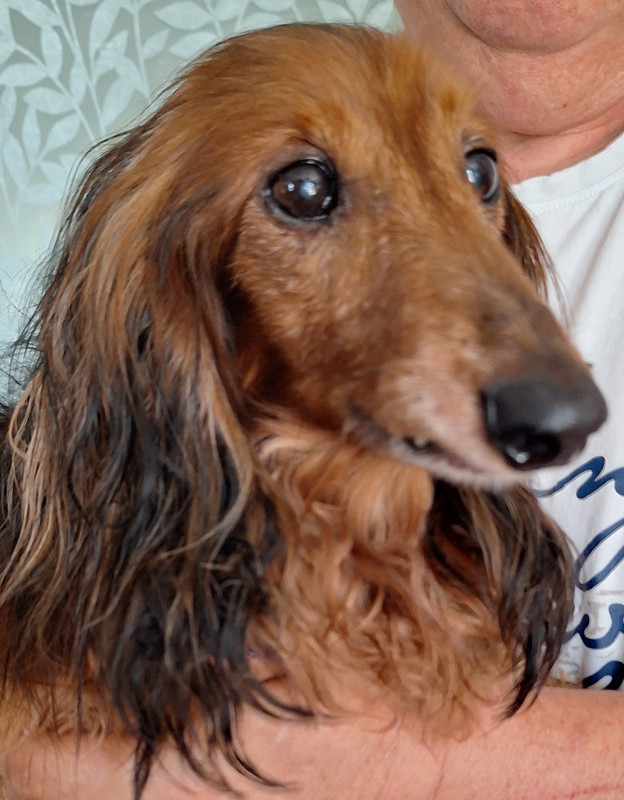 [Image: 20250429-163212.jpg]