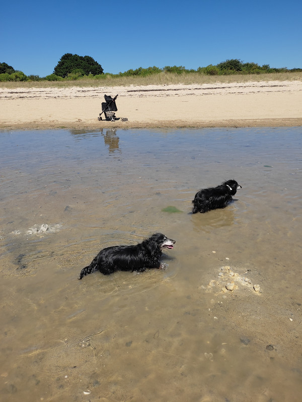 [Image: IMG-20220708-124354.jpg]