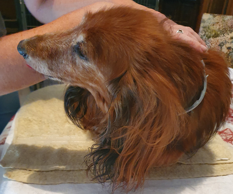 [Image: 20220615-155308.jpg]