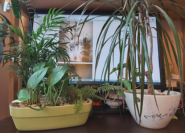 [Image: 20200722-173948.jpg]