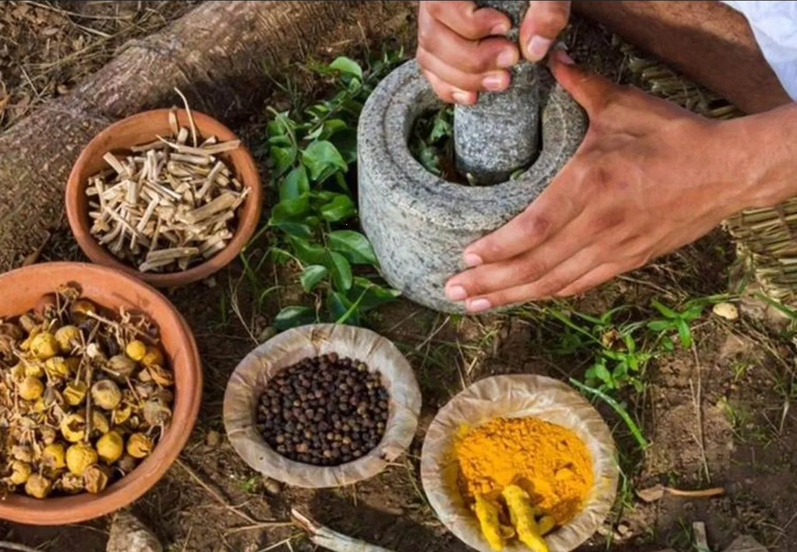 Medicina Tradicional Indígena: Un Puente Entre Ancestros y Modernidad